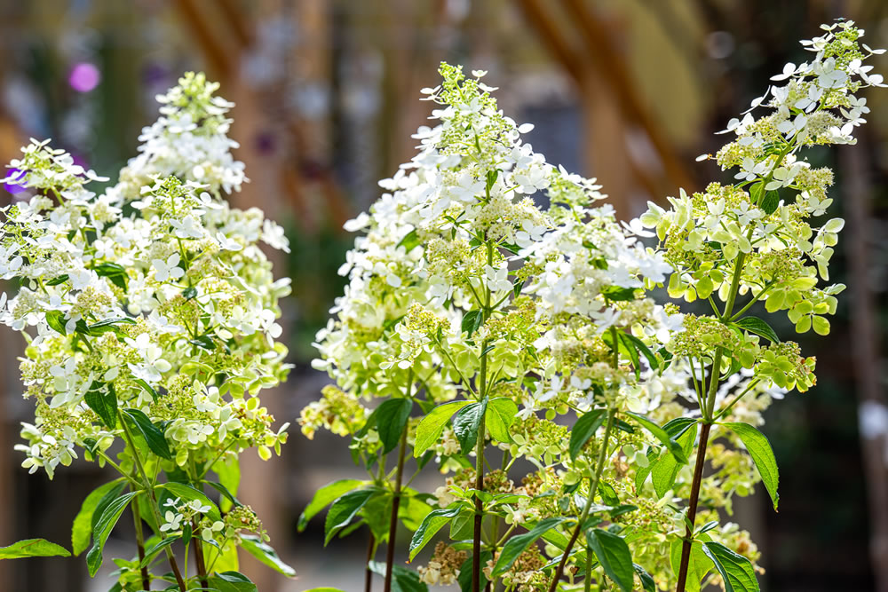 Duurzaam tuincentrum