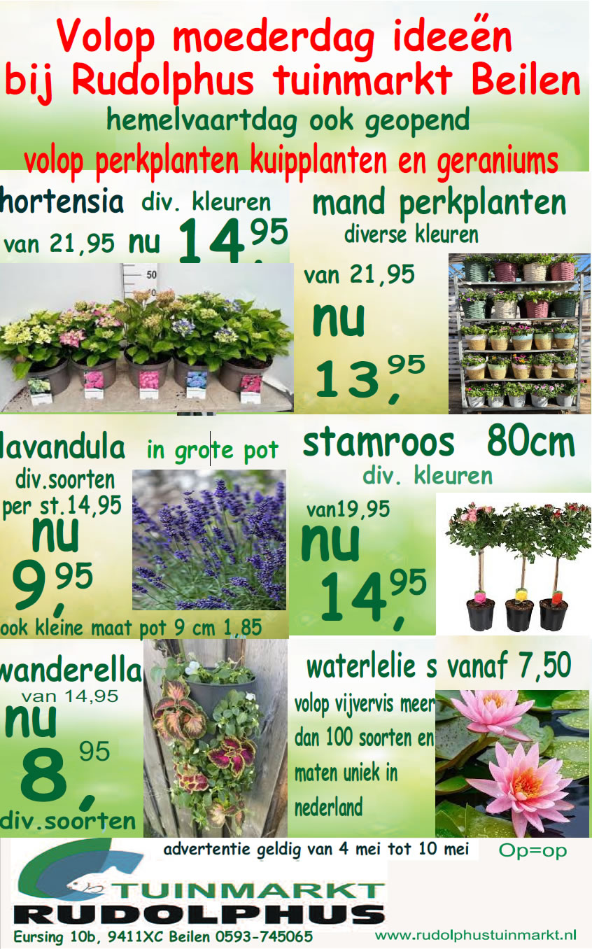 Aanbieding moederdag